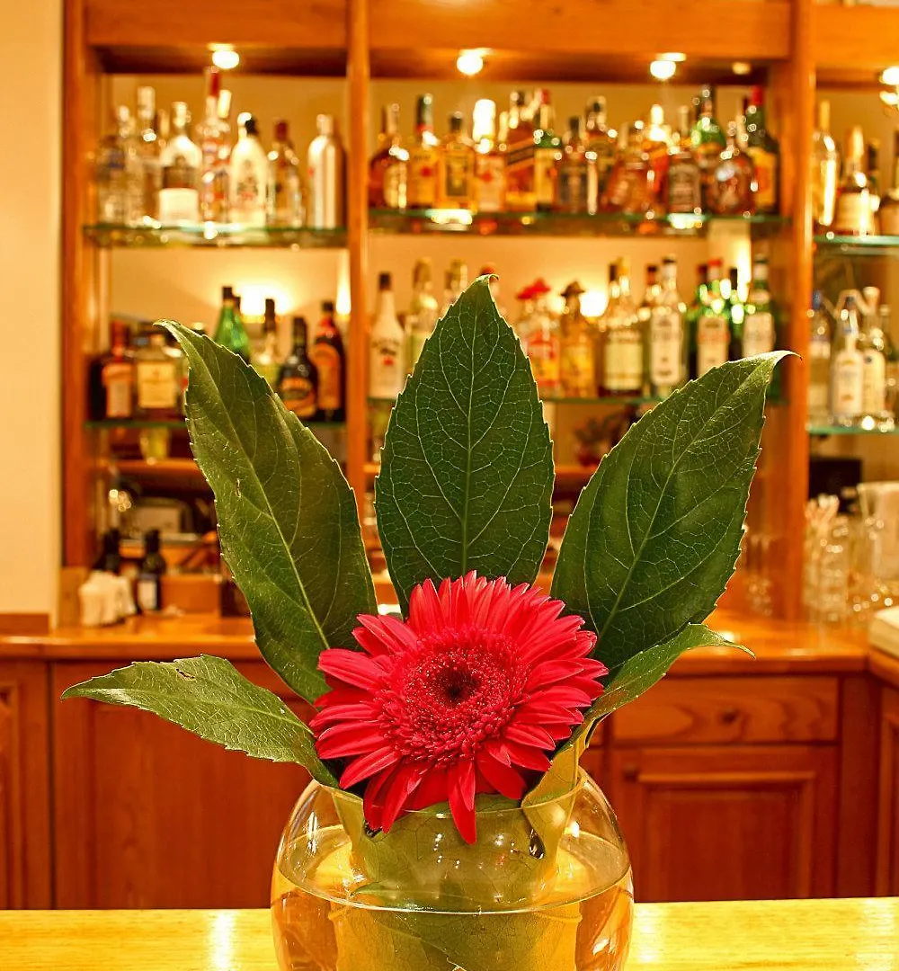 Geneva Hotel 소피아